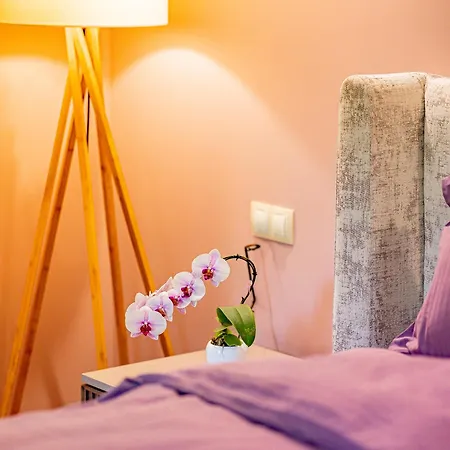 Casa de Férias къща за гости- къпиновата къща *